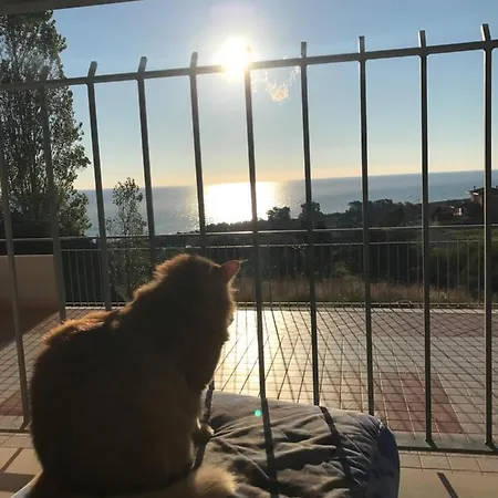 Luna Badolato Marina